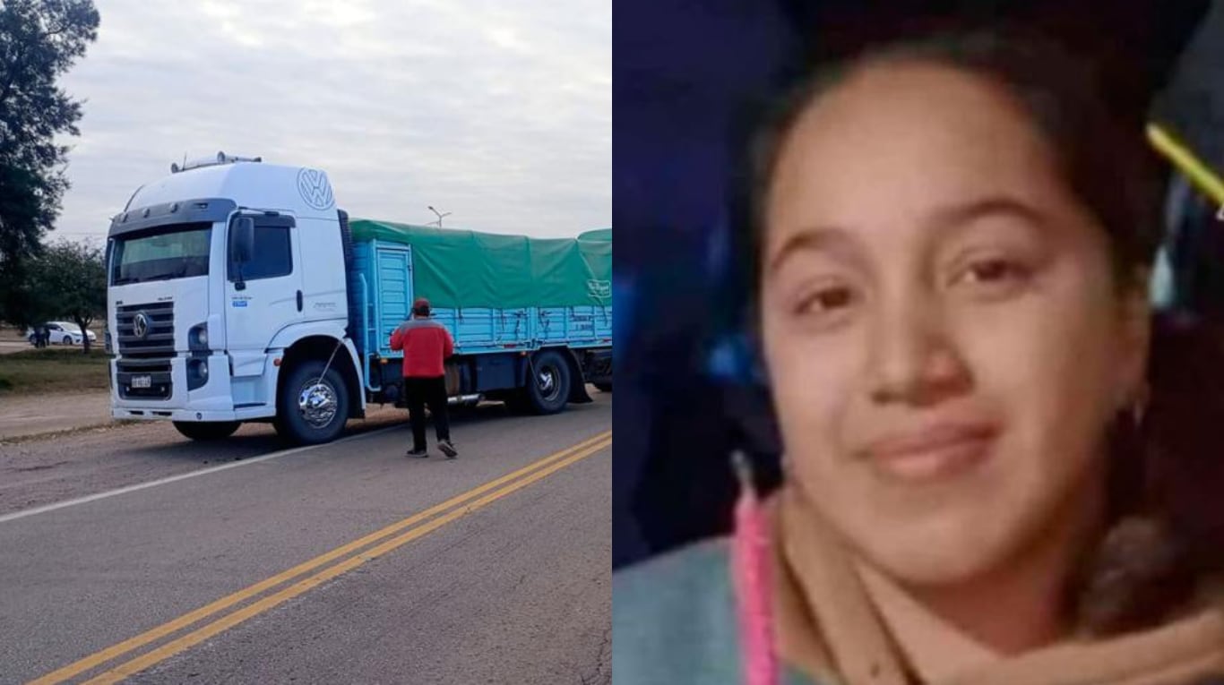 Brisa perdió la vida luego de ser atropellada por un camión en la ruta 34. (Foto: gentileza Dario Panorama)