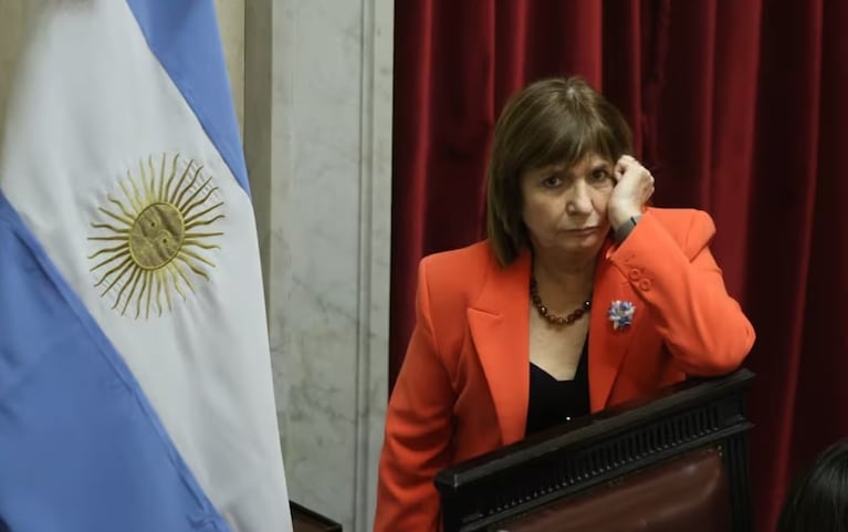 Bullrich no logró juntar los votos para el capítulo más cuestionado del proyecto.