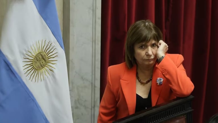 Bullrich no logró juntar los votos para el capítulo más cuestionado del proyecto.