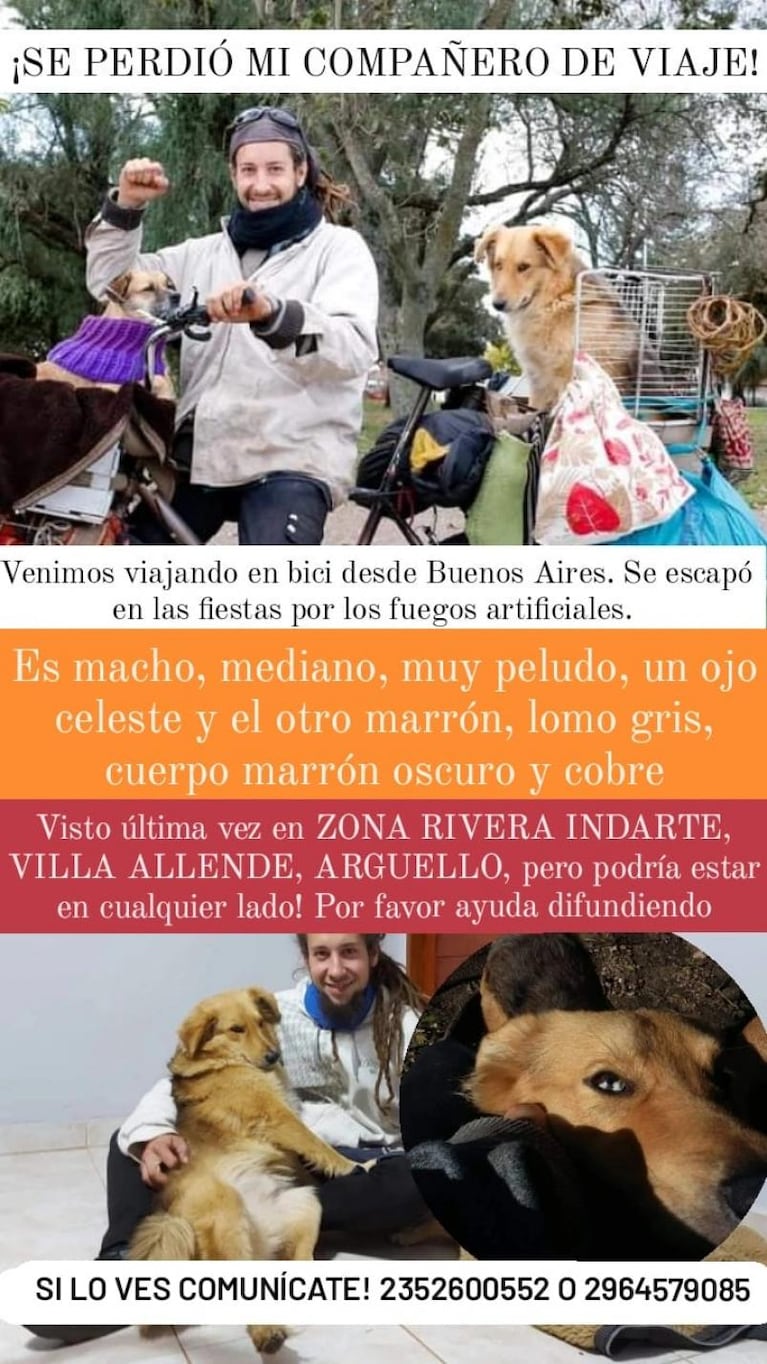 Busca a Toto, el perro que lo acompaña en su viaje por Latinoamérica