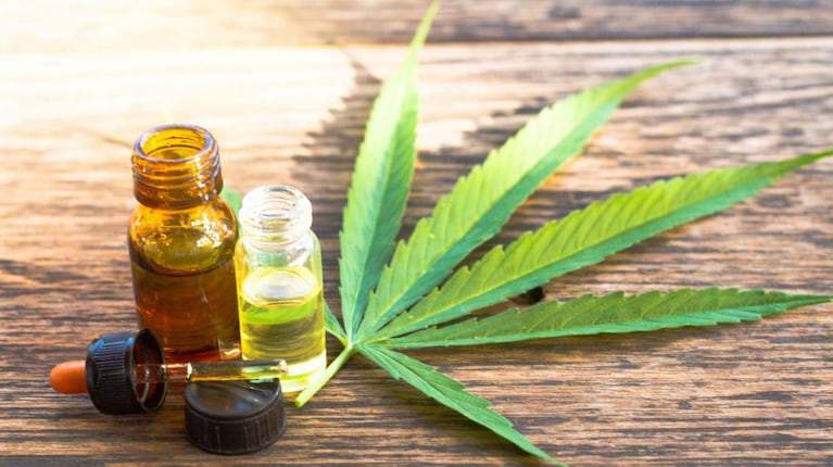 Buscan tratar un proyecto de ley sobre el cannabis medicinal