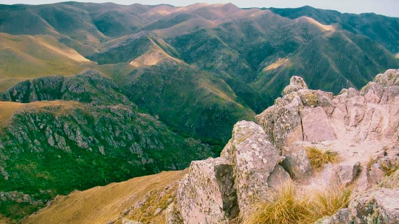 Busqueda quebrada de las golondrinas