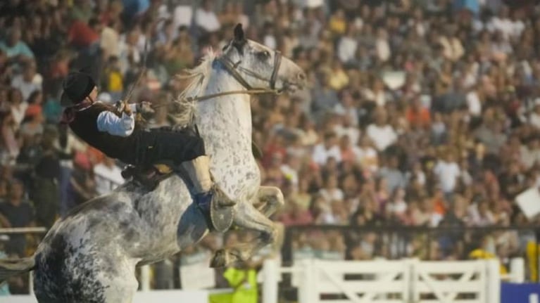 caballos-encefalomielitis-equina-festival-jesus-maria