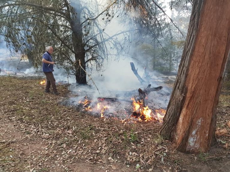 Caballos sufrieron graves quemaduras tras el incendio en las sierras de Córdoba