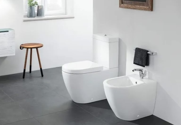 Cada 19 de noviembre es el día del Inodoro.