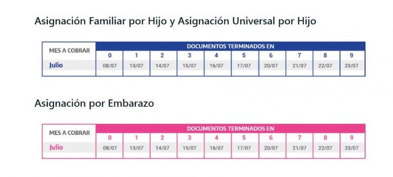 Calendario de pagos de julio: Anses fijó fecha para jubilados y titulares de AUH