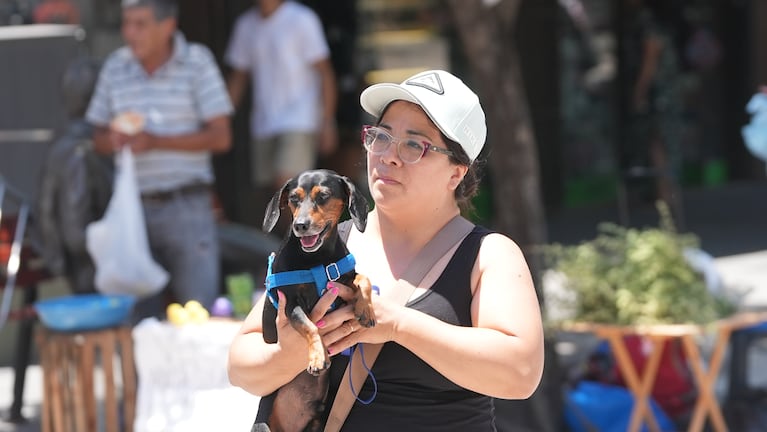 Calor extremo en la despedida del año en Córdoba. Foto: Lucio Casalla / ElDoce.tv.