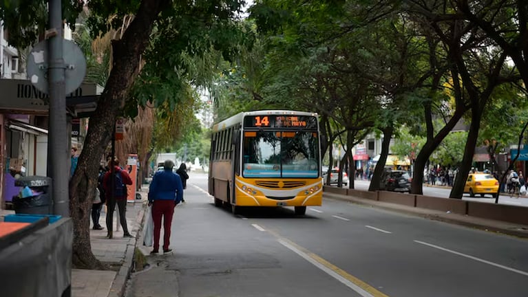 Calvo indicó que el transporte será normal durante la visita del Papa.