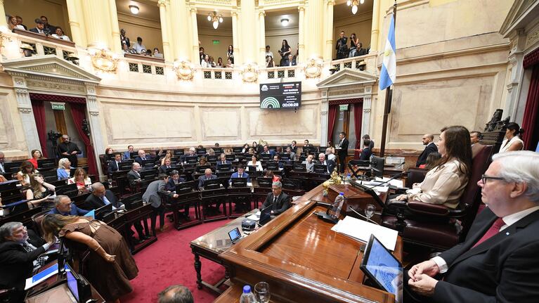 Cámara alta (Imagen: Prensa Senado de la Nación Argentina)