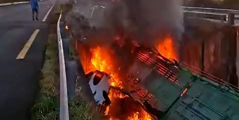 Camión cayó de un puente y su conductor murió incinerado.