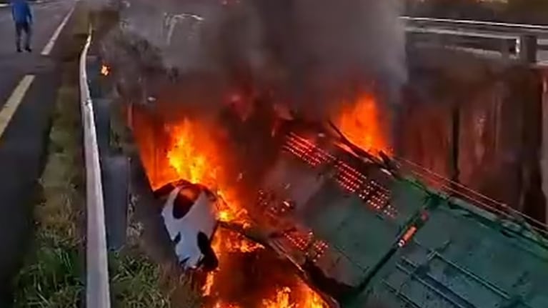 Camión cayó de un puente y su conductor murió incinerado.