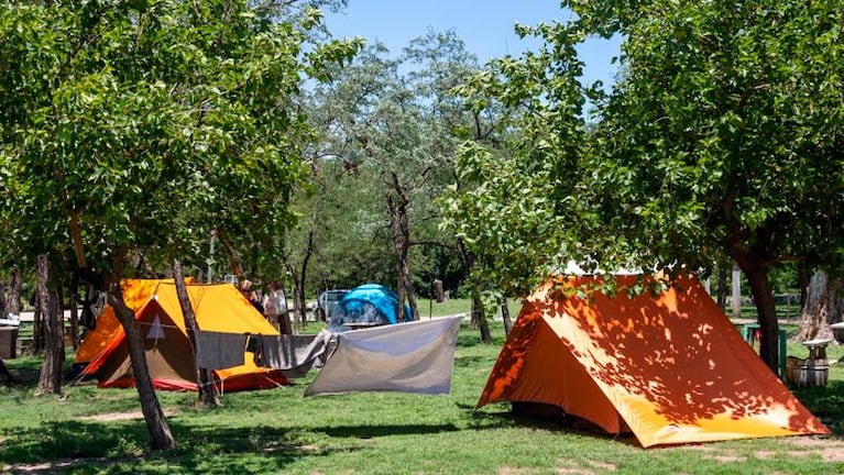 Camping municipal San Martín: cuánto cuesta acampar o pasar un día en la pile