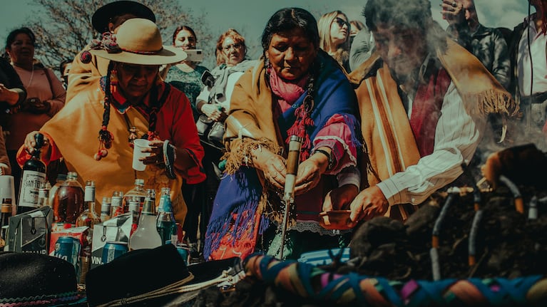 Caña de ruda: por qué se toma el 1° de agosto y cuántos tragos son para atraer la salud y prosperidad