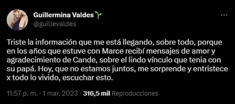 Candelaria Tinelli explotó contra Guillermina Valdés y la ex de su papá respondió con dolor