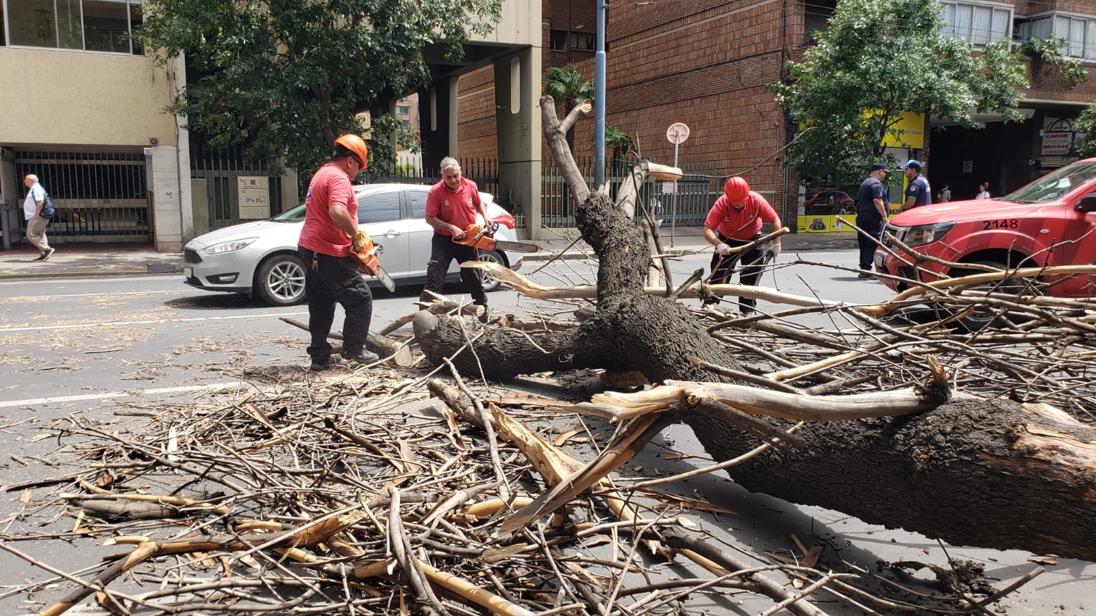 Caos de trnsito en pleno centro de Crdoba. Foto: Nstor Ghino / El Doce.