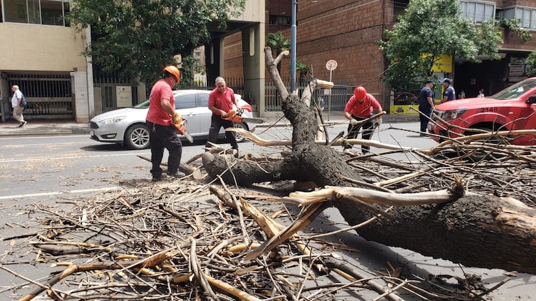 Caos de trnsito en pleno centro de Crdoba. Foto: Nstor Ghino / El Doce.