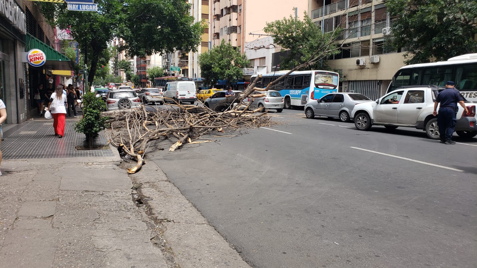 Caos de trnsito en pleno centro de Crdoba. Foto: Nstor Ghino / El Doce.