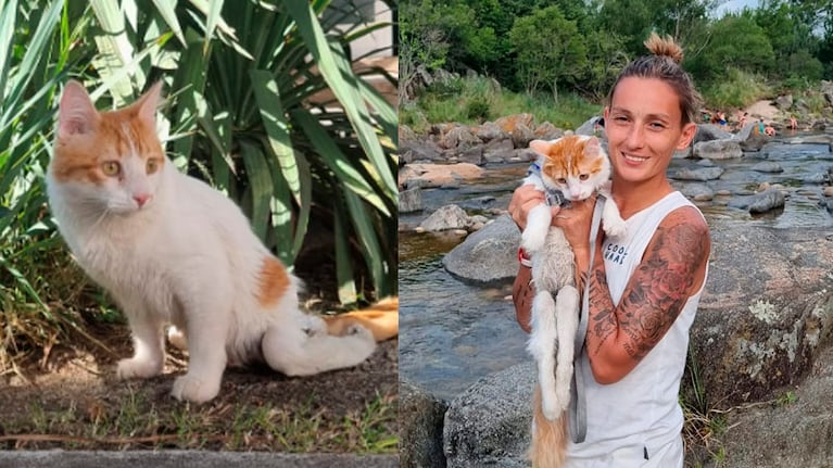 Capitán fue adoptado y le cambió la vida para siempre.