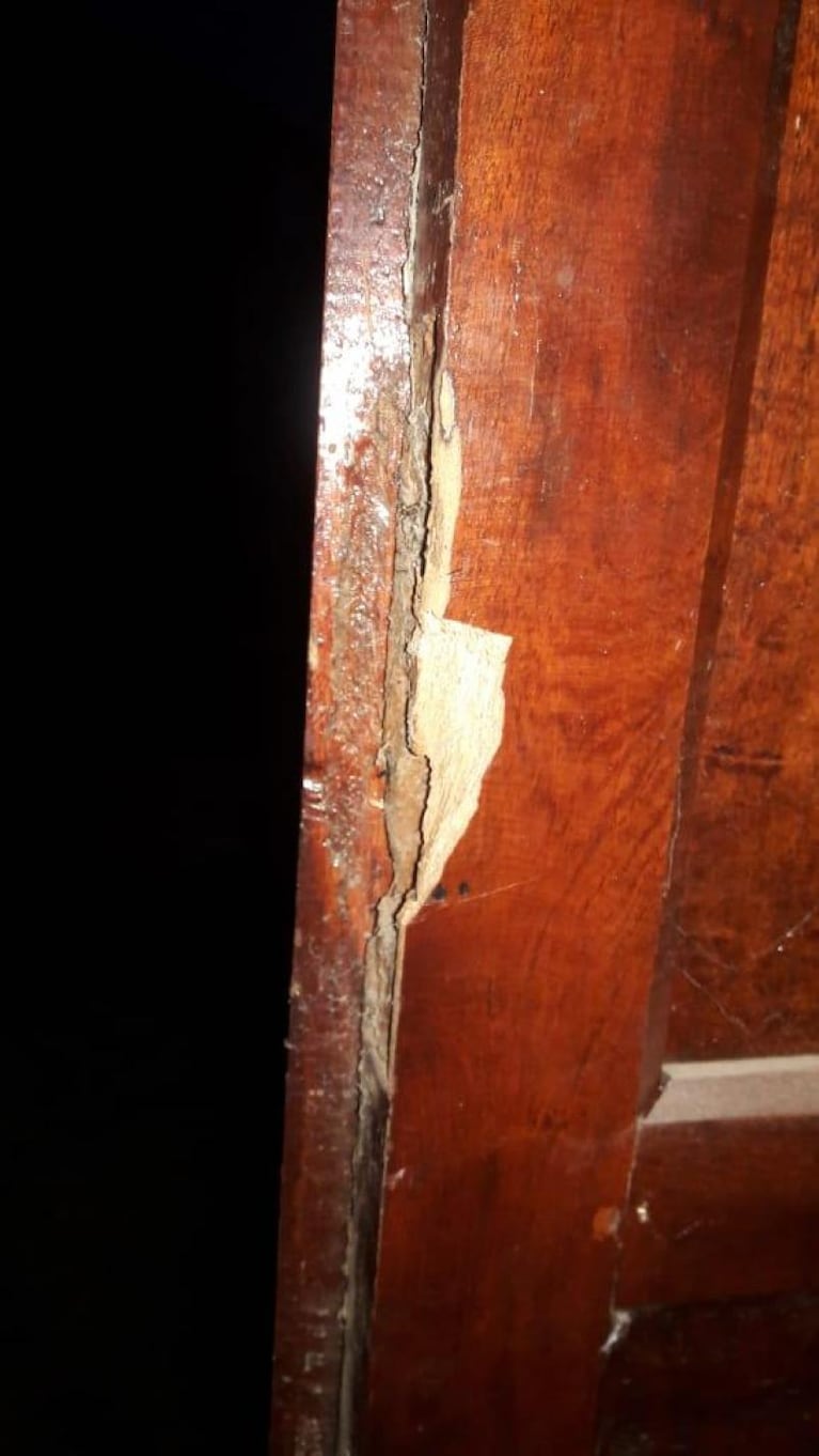Carlos Nayi sufrió un robo en su casa de Parque Síquiman