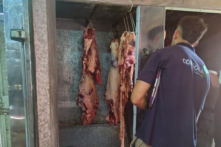 Carne en mal estado en un frigorífico de Ballesteros.