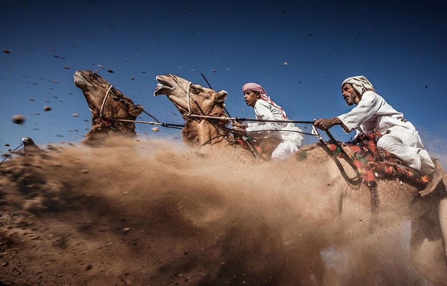 Carrera de Camellos de Ahmed Al Toqi. Omán. Asia. 