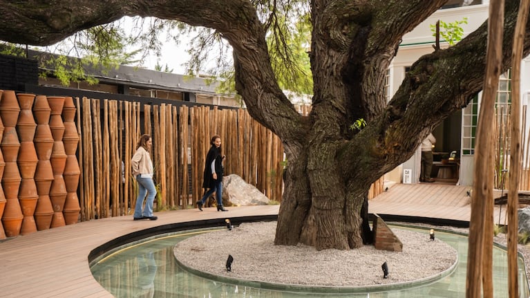 Casa FOA, una experiencia única en Córdoba.