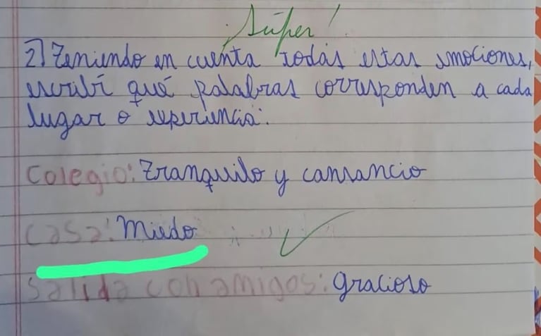 “Casa, miedo”: los estremecedores dibujos del nene de 8 años antes de ser asesinado por su padre