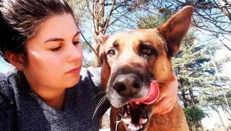 Cash: el perro que estuvo perdido casi un año y volvió solo a su casa