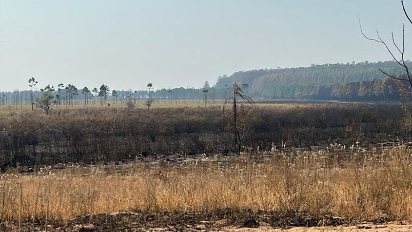 Casi un 10% de la provincia ya fue consumida por el fuego.