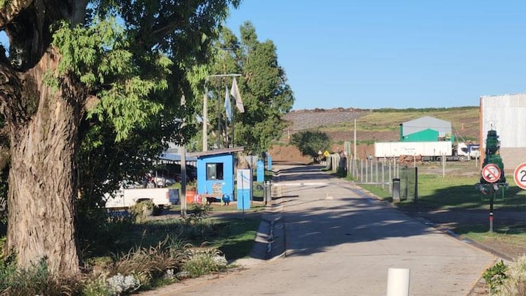 Caso Anahí: por qué "no hay dudas" de que el detenido la mató y tiró a contenedores de basura