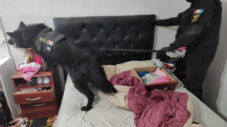 Cayeron dos referentes del narcomenudeo en el interior de Córdoba.