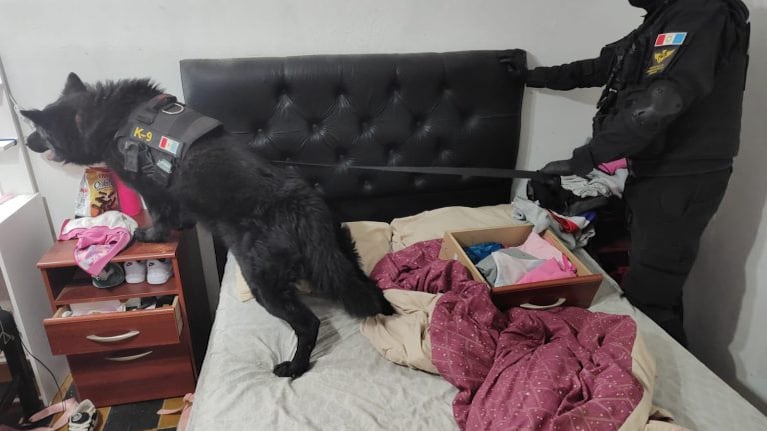 Cayeron dos referentes del narcomenudeo en el interior de Córdoba.