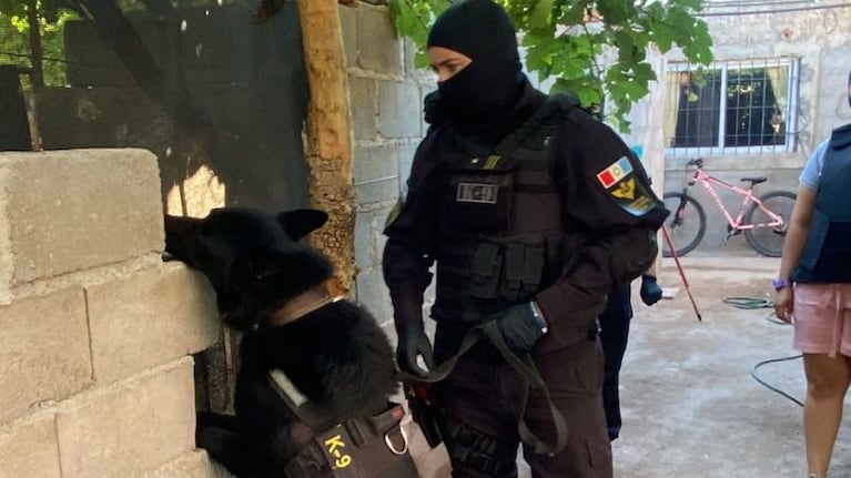 Cayó banda narco que metía droga en una cárcel de Córdoba: un policía la trasladaba y distribuía