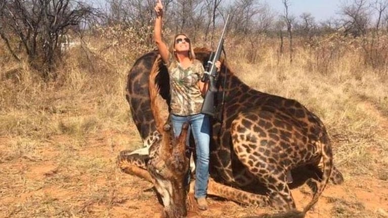 Cazó una exótica jirafa negra, lo celebró y se ganó el repudio en las redes