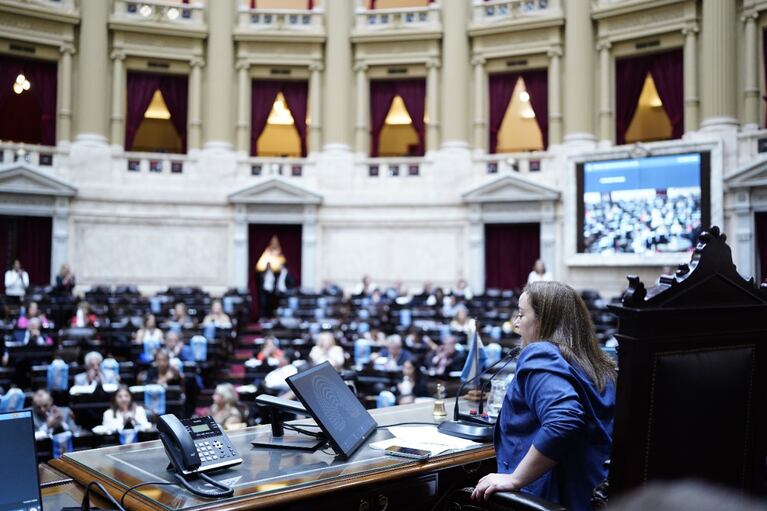 Cecilia Moreau, presidenta de la Cámara de Diputados.