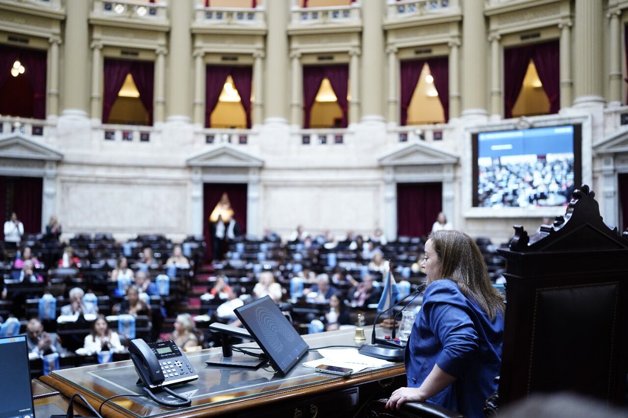 Cecilia Moreau, Presidenta de la Cámara de Diputados de la Nación.