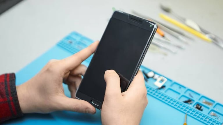 celular