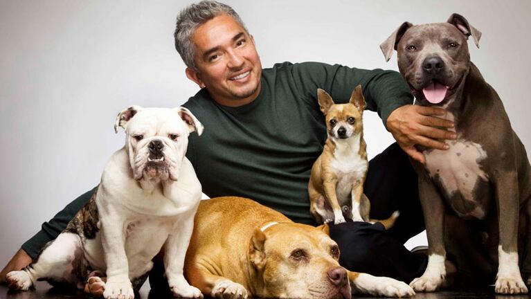 César Millán investigado por crueldad animal. 