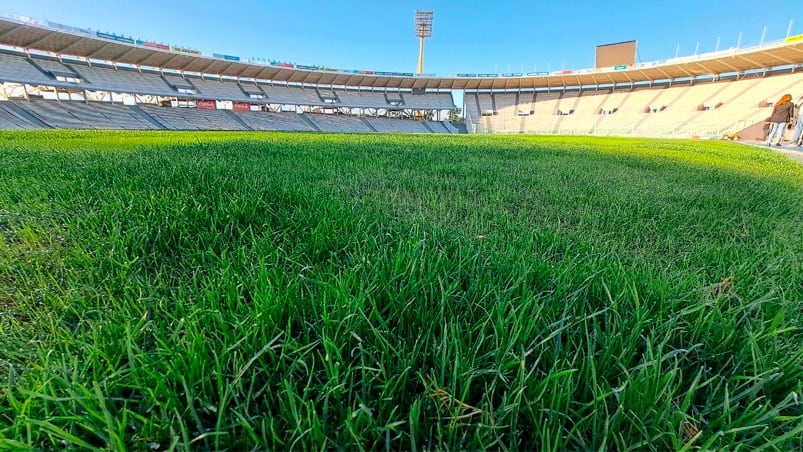 cesped estadio mario kempes