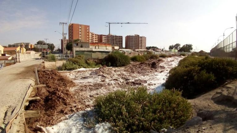 Chile: impactante desborde del río causó daños en la región