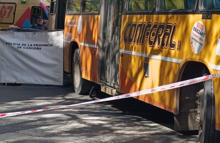 ciclista muerto coniferal
