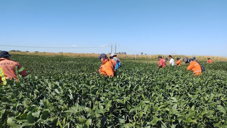 Cientos de efectivos participan del rastrillaje en el interior de la provincia.