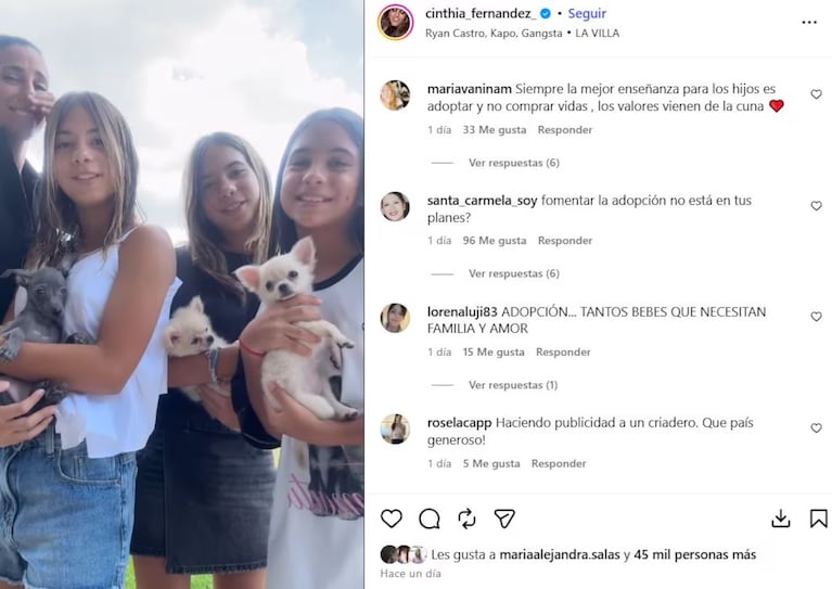 Cinthia Fernández presentó a sus nuevos perros de raza y la fulminaron en las redes: “Hay que…”
