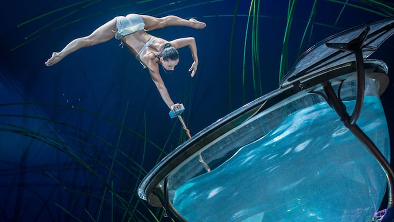 Cirque du Soleil presentará en Córdoba Amaluna