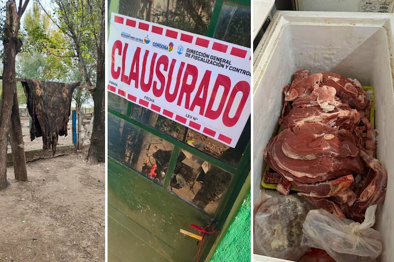 Clausuran carnicería clandestina.