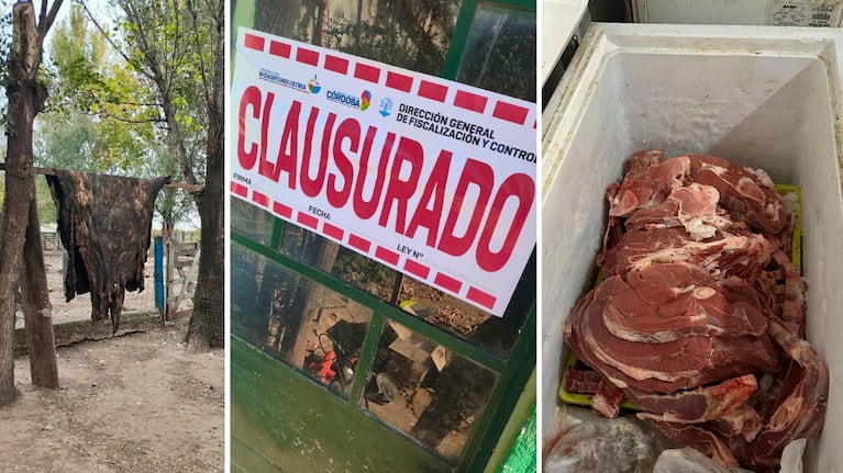 Clausuran carnicería clandestina.