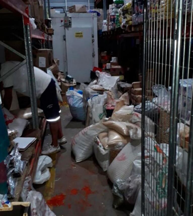 Clausuraron un supermercado cordobés por presencia de ratas: fotos y video