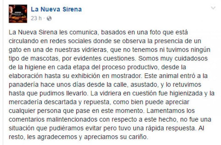 Clausuraron una panadería por tener un gato entre su mercadería