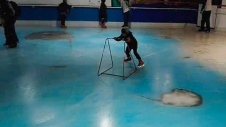 Clausuraron una pista de patinaje con 5.000 peces muertos