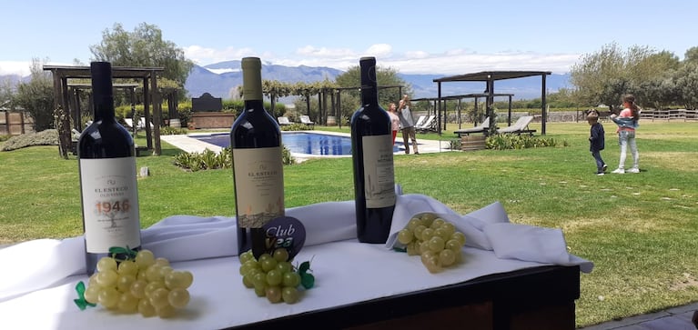Club Vea Vinos tiene como objetivo principal generar experiencias y conocimientos sobre el vino a todos sus clientes. 